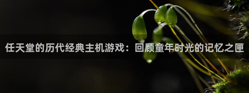 广州蓝狮网络科技有限公司怎么样